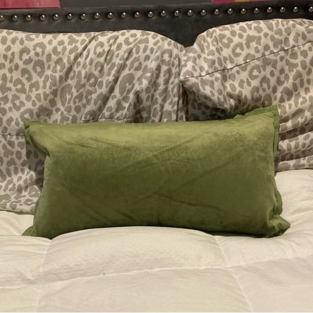 Rectangular green velvet/velour throw pillow